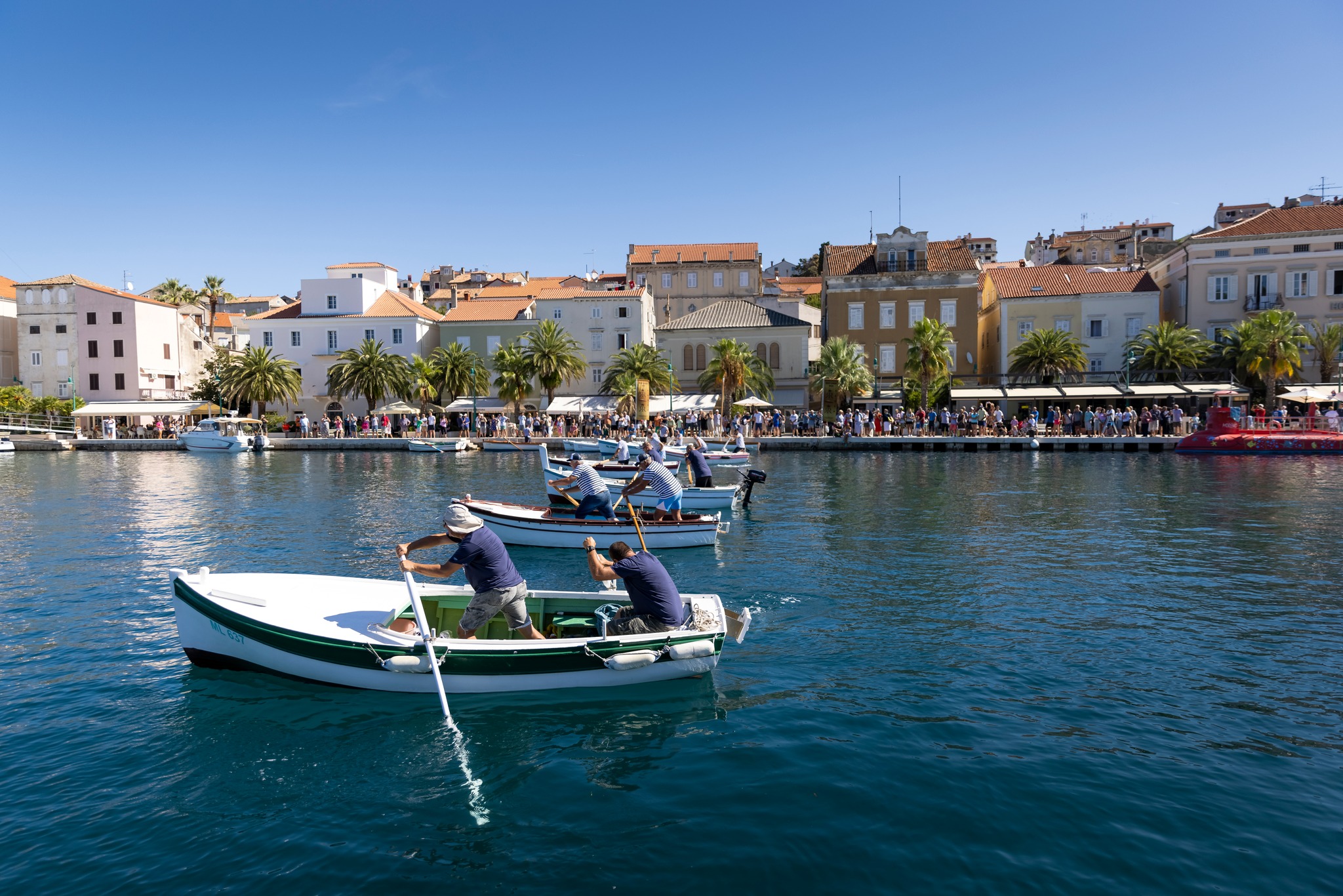 XI regata pasara na vesla 